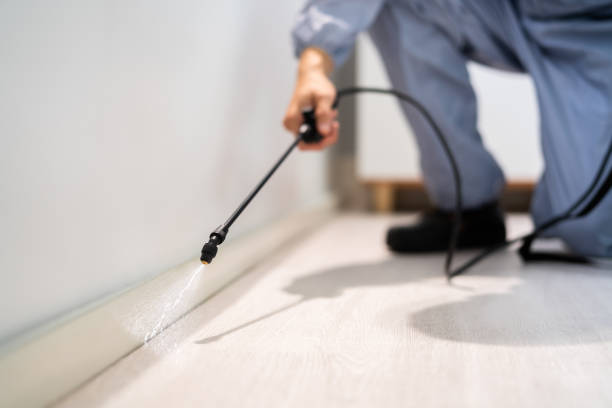 Bed Bug Pre-Treatment Preparation Assessment in Mexico Beach