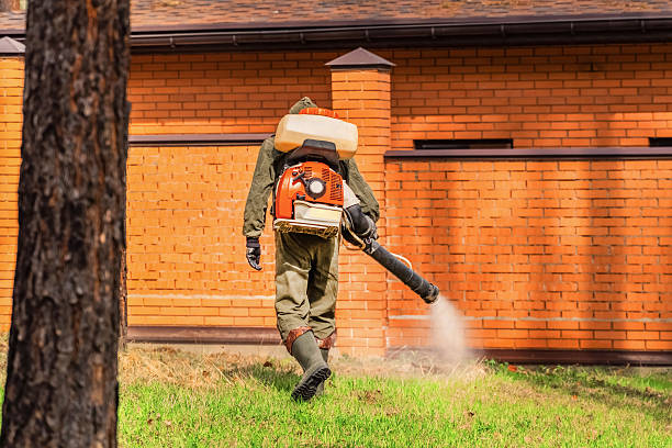 Bed Bug Clearance Verification and Documentation in Mexico Beach